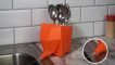 Cute Solid Plastic Elephant Cutlery Holder Drainer for Countertop and Sink Storage